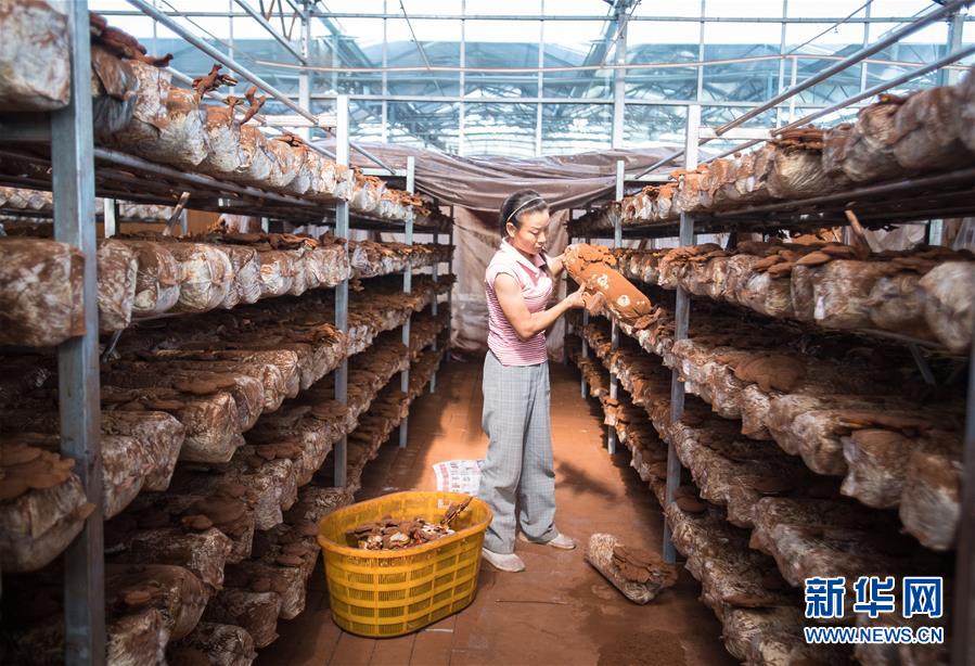 （新華全媒頭條&middot;走向我們的小康生活&middot;圖文互動(dòng)）（3）特殊之年，荊楚大地書(shū)寫(xiě)不平凡的答卷