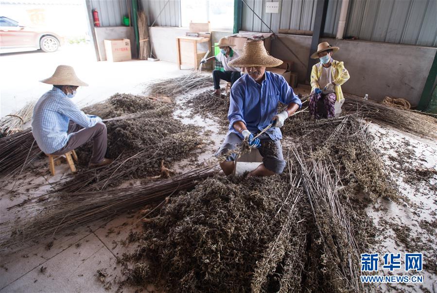（新華全媒頭條&middot;走向我們的小康生活&middot;圖文互動(dòng)）（10）特殊之年，荊楚大地書(shū)寫(xiě)不平凡的答卷