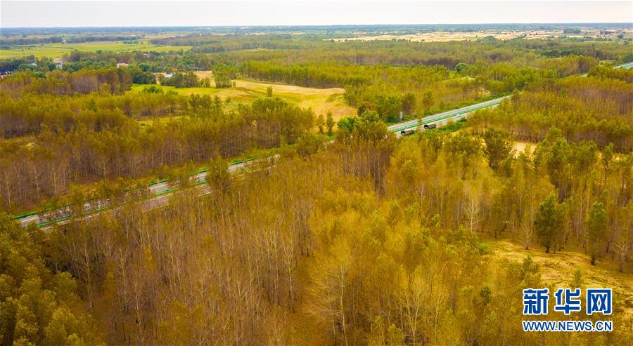 （在習(xí)近平新時(shí)代中國(guó)特色社會(huì)主義思想指引下&mdash;&mdash;新時(shí)代新作為新篇章&middot;習(xí)近平總書(shū)記關(guān)切事&middot;圖文互動(dòng)）（3）綠意，在黃沙中鋪展&mdash;&mdash;我國(guó)防沙治沙紀(jì)實(shí)