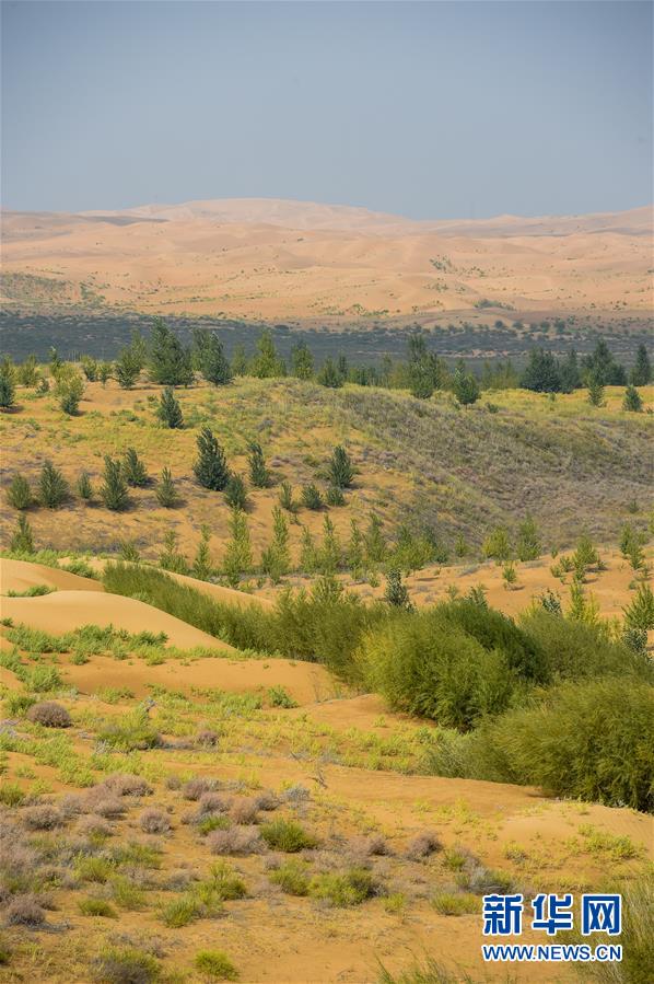 （在習(xí)近平新時(shí)代中國(guó)特色社會(huì)主義思想指引下&mdash;&mdash;新時(shí)代新作為新篇章&middot;習(xí)近平總書(shū)記關(guān)切事&middot;圖文互動(dòng)）（6）綠意，在黃沙中鋪展&mdash;&mdash;我國(guó)防沙治沙紀(jì)實(shí)