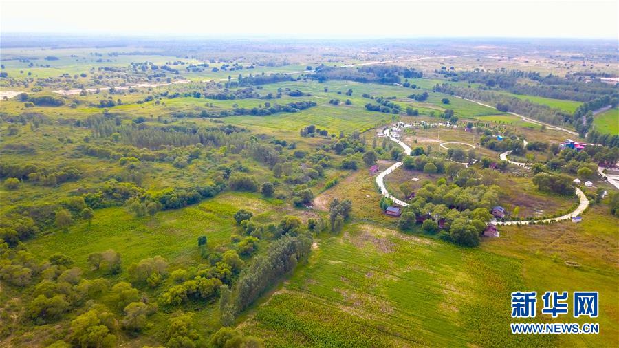 （在習(xí)近平新時(shí)代中國(guó)特色社會(huì)主義思想指引下&mdash;&mdash;新時(shí)代新作為新篇章&middot;習(xí)近平總書(shū)記關(guān)切事&middot;圖文互動(dòng)）（1）綠意，在黃沙中鋪展&mdash;&mdash;我國(guó)防沙治沙紀(jì)實(shí)