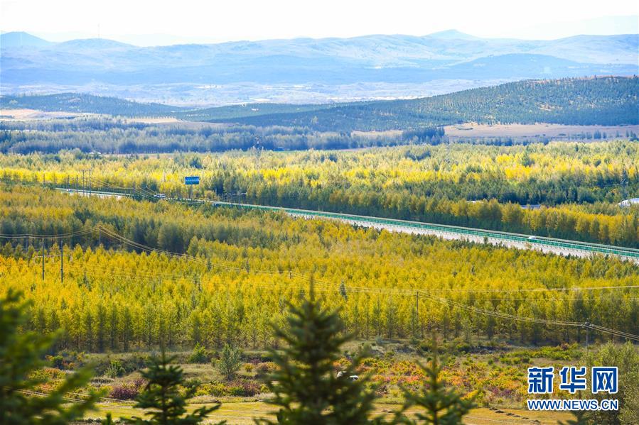 （在習(xí)近平新時(shí)代中國(guó)特色社會(huì)主義思想指引下&mdash;&mdash;新時(shí)代新作為新篇章&middot;習(xí)近平總書(shū)記關(guān)切事&middot;圖文互動(dòng)）（7）綠意，在黃沙中鋪展&mdash;&mdash;我國(guó)防沙治沙紀(jì)實(shí)