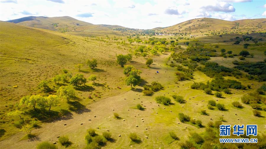 （在習(xí)近平新時(shí)代中國(guó)特色社會(huì)主義思想指引下&mdash;&mdash;新時(shí)代新作為新篇章&middot;習(xí)近平總書(shū)記關(guān)切事&middot;圖文互動(dòng)）（4）綠意，在黃沙中鋪展&mdash;&mdash;我國(guó)防沙治沙紀(jì)實(shí)