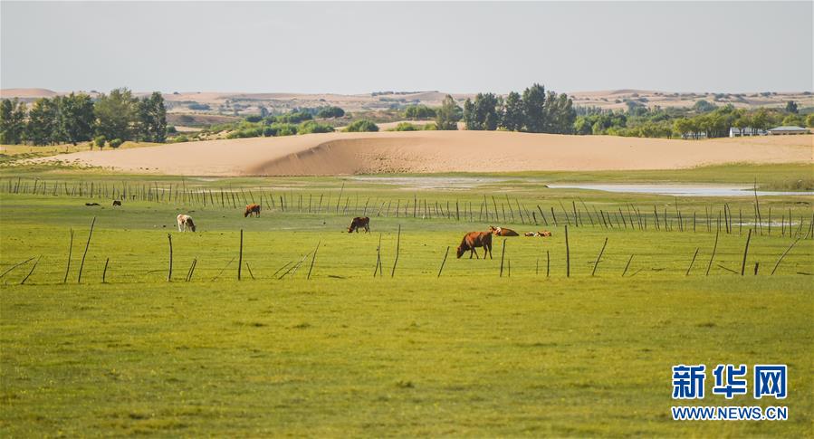 （在習(xí)近平新時(shí)代中國(guó)特色社會(huì)主義思想指引下&mdash;&mdash;新時(shí)代新作為新篇章&middot;習(xí)近平總書(shū)記關(guān)切事&middot;圖文互動(dòng)）（9）綠意，在黃沙中鋪展&mdash;&mdash;我國(guó)防沙治沙紀(jì)實(shí)