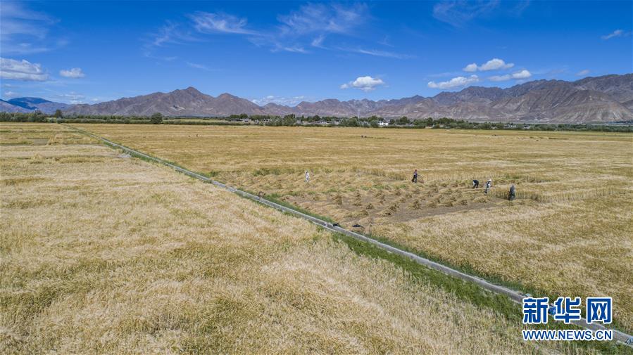 （新華全媒頭條&middot;走向我們的小康生活&middot;圖文互動）（11）扎西德勒，我們的新家園&mdash;&mdash;西藏易地扶貧搬遷搬出幸福美好新生活