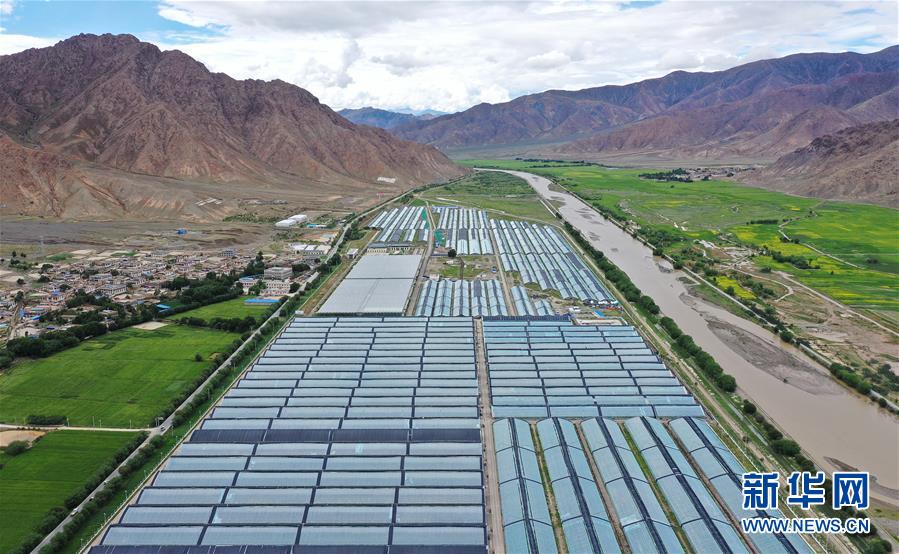 （走向我們的小康生活&middot;決戰(zhàn)決勝脫貧攻堅(jiān)&middot;圖文互動(dòng)）（2）高原喜見(jiàn)&ldquo;壽光綠&rdquo;&mdash;&mdash;&ldquo;世界屋脊&rdquo;上的蔬菜發(fā)展奇跡