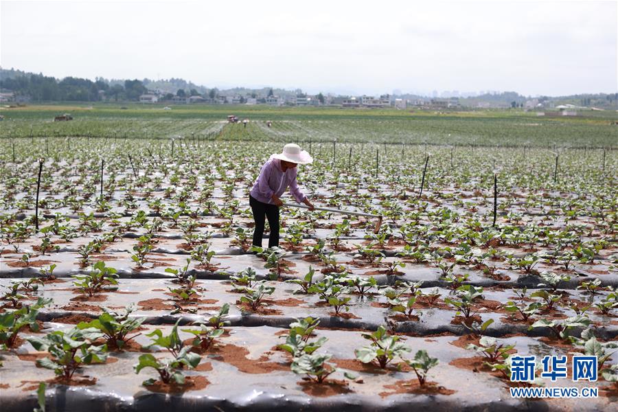 （新華全媒頭條&middot;走向我們的小康生活&middot;決戰(zhàn)決勝脫貧攻堅&middot;圖文互動）（3）千年之渴今朝解&mdash;&mdash;貴州貧困群眾實現(xiàn)&ldquo;吃水不愁&rdquo;