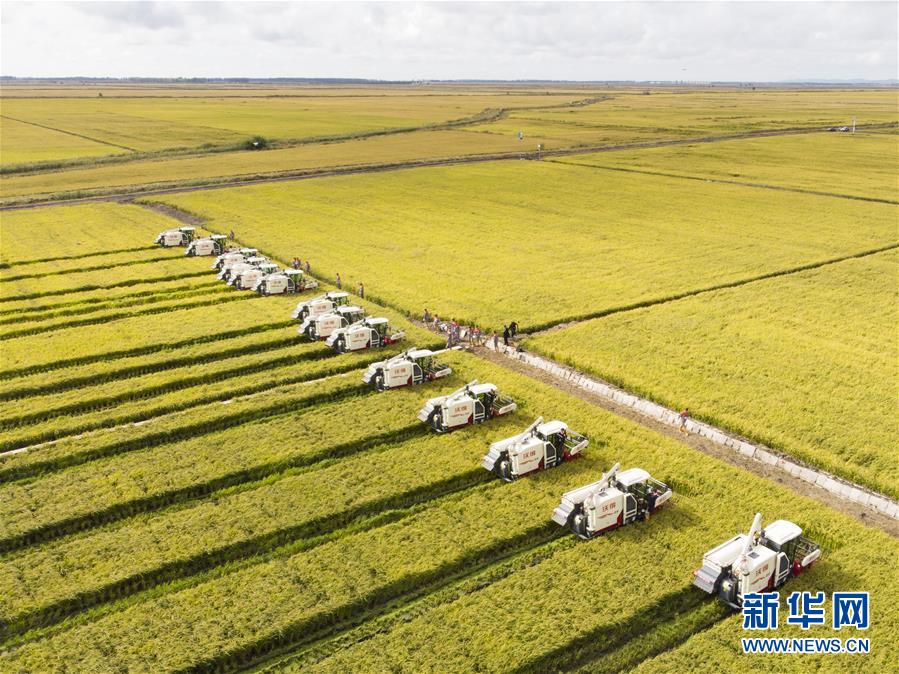 （新華全媒頭條&middot;圖文互動）（15）奮斗結(jié)碩果，再寫新篇章&mdash;&mdash;寫在共和國71周年華誕之際