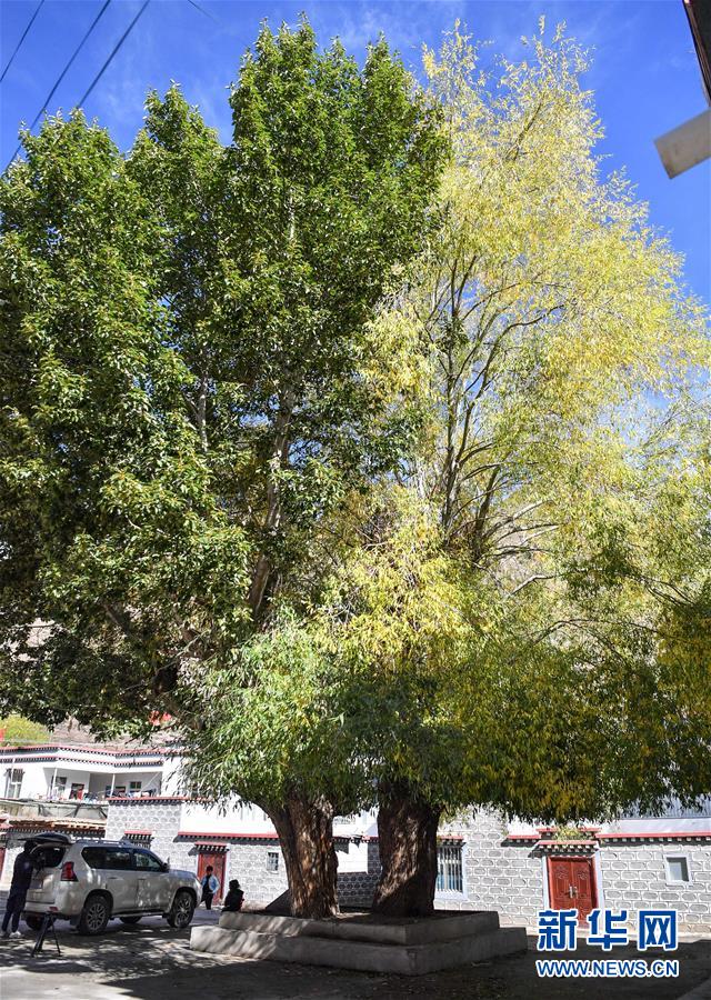 （圖文互動(dòng)）（2）歷史遺跡的述說(shuō)&mdash;&mdash;西藏昌都源遠(yuǎn)流長(zhǎng)的民族團(tuán)結(jié)故事