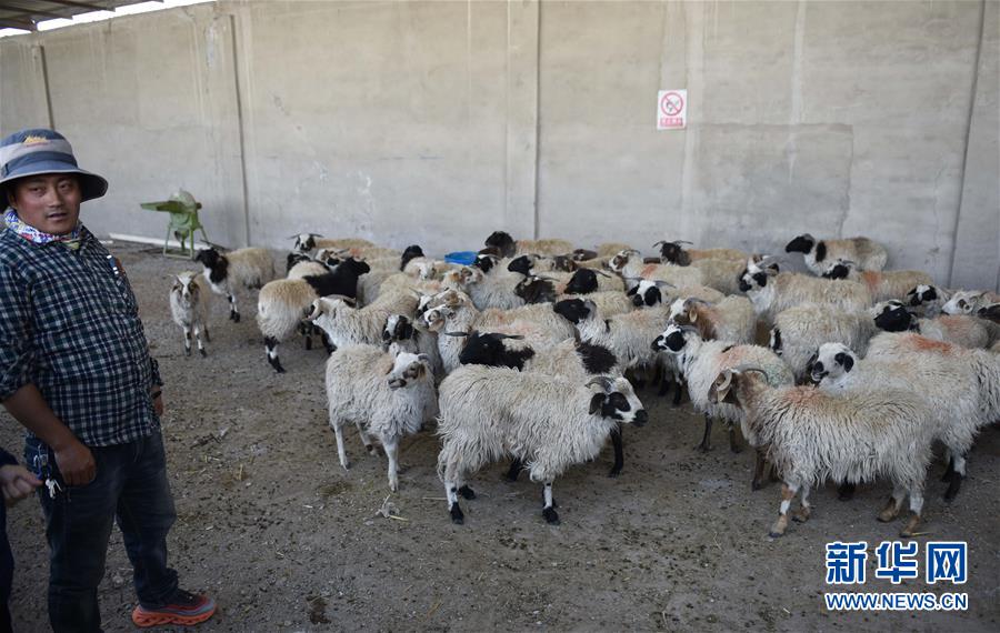 （集中連片特困地區(qū)貧困村調(diào)研行&middot;圖文互動）（4）長江源村人的兩個家和幸福夢&mdash;&mdash;青海格爾木市長江源村脫貧調(diào)查