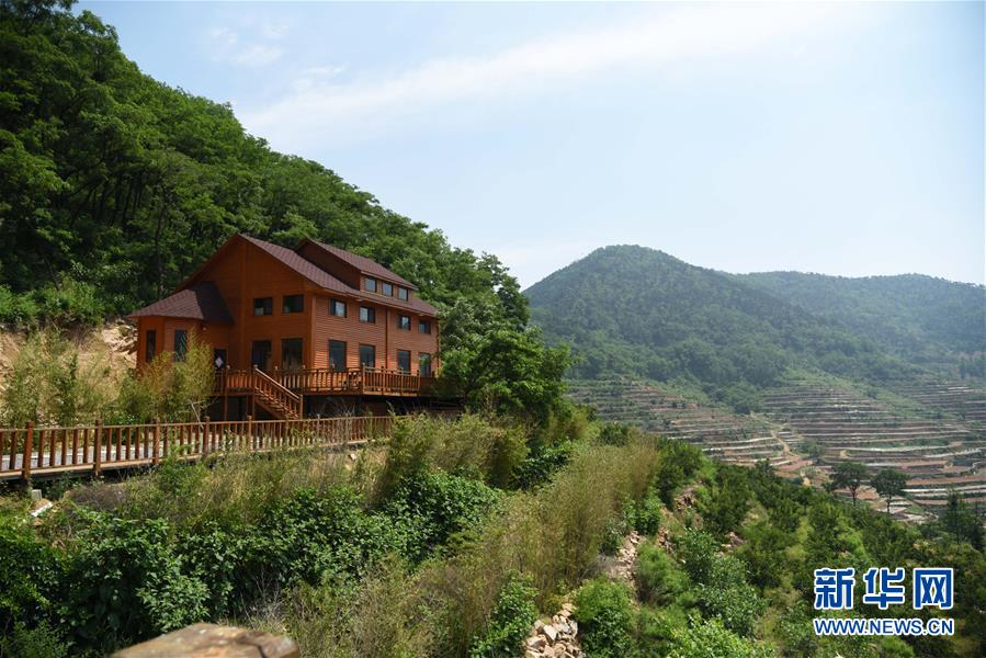 （決戰(zhàn)決勝脫貧攻堅(jiān)&middot;圖文互動(dòng)）（3）&ldquo;講好紅色故事&rdquo;也能脫貧攻堅(jiān)&mdash;&mdash;紅嫂故里山東沂水縣桃棵子村&ldquo;紅色扶貧&rdquo;蹲點(diǎn)手記