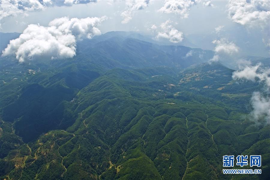 （熱點(diǎn)鮮報(bào)&middot;圖文互動(dòng)）（1）善洲精神永相傳：留下一片綠洲 造福家鄉(xiāng)百姓