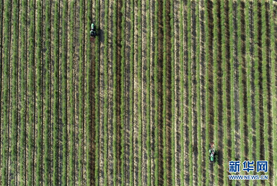（新華全媒頭條&middot;百萬大移民&middot;圖文互動）（10）從大山深處到大河之畔&mdash;&mdash;寧夏持續(xù)移民百萬&ldquo;拔窮根&rdquo;啟示