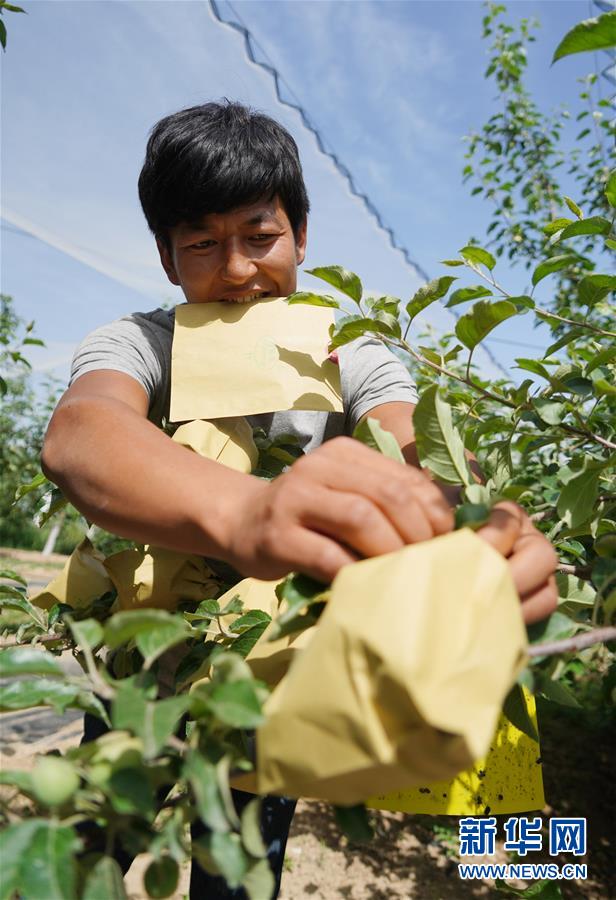 （習(xí)近平的小康故事&middot;圖文互動）（2）&ldquo;我很期盼的一件事，就是讓鄉(xiāng)親們飽餐一頓肉&rdquo;&mdash;&mdash;習(xí)近平和脫貧攻堅的故事