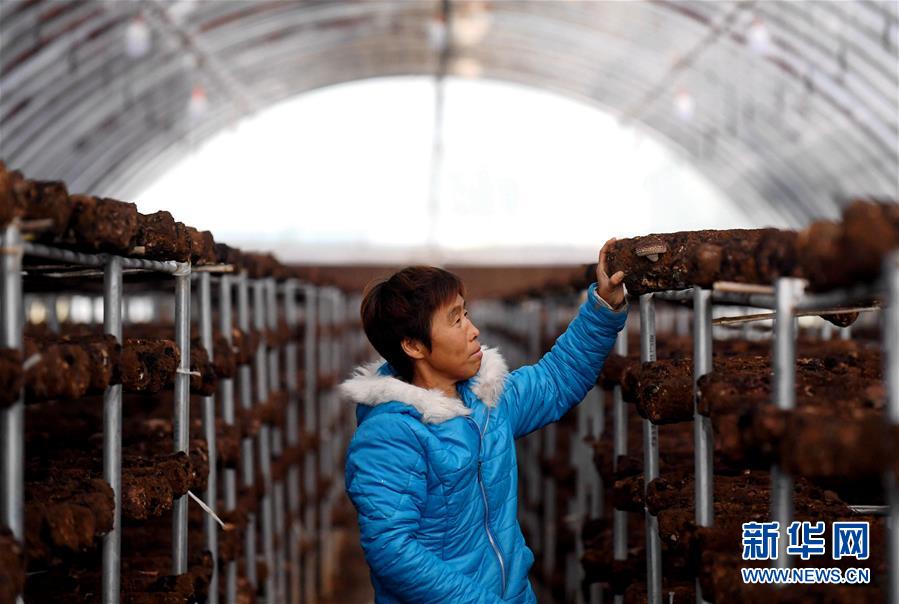 （決戰(zhàn)決勝脫貧攻堅&middot;圖文互動）（8）17代人追逐的夢想實現(xiàn)了&mdash;&mdash;記冀南平原劉秋口村變遷 