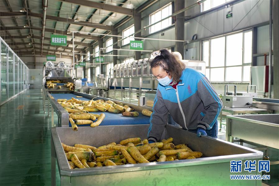 （聚焦疫情防控&middot;圖文互動）（2）把握先機(jī) 應(yīng)對有序&mdash;&mdash;新疆疏附縣全力阻斷新冠肺炎病毒傳播