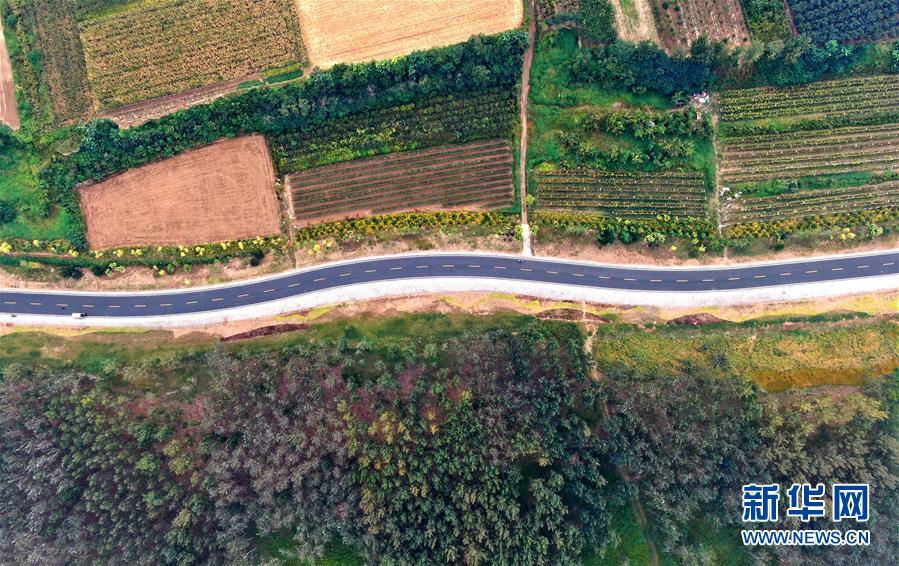 （新華全媒頭條&middot;圖文互動(dòng)）（4）從&ldquo;四亂&rdquo;突出到生態(tài)修復(fù) 黃河漸成中原&ldquo;綠飄帶&rdquo;