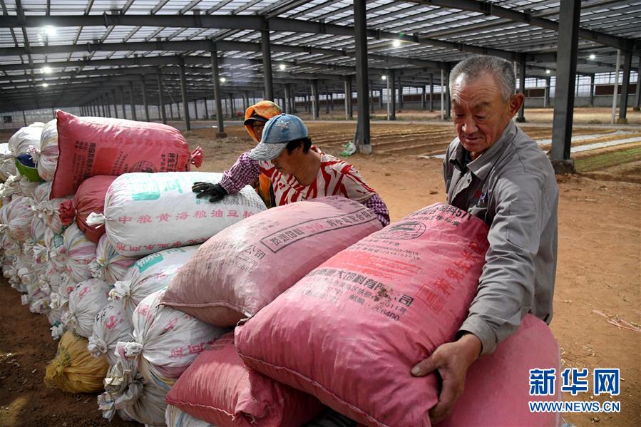 （全面建成小康社會(huì)&ldquo;百城千縣萬村調(diào)研行&rdquo;&middot;圖文互動(dòng)）（6）青島西海岸新區(qū)以&ldquo;生態(tài)酵母&rdquo;激活鄉(xiāng)村振興