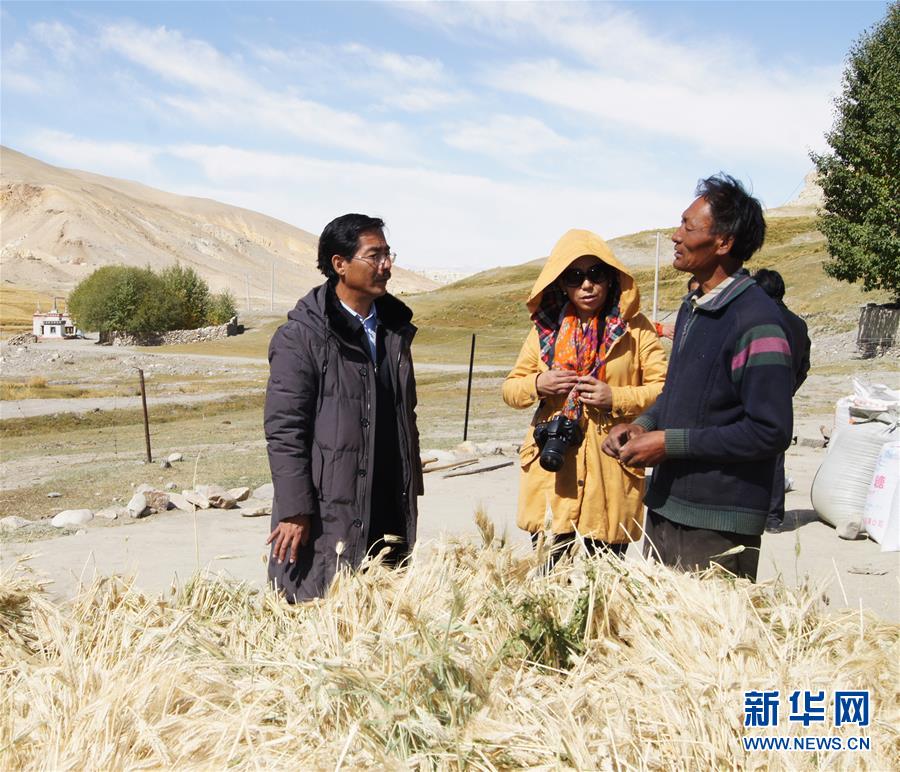 （新華全媒頭條&middot;圖文互動(dòng)）（6）愿做高原一粒種 化作金穗撒人間&mdash;&mdash;追記我國(guó)青稞研究專(zhuān)家尼瑪扎西