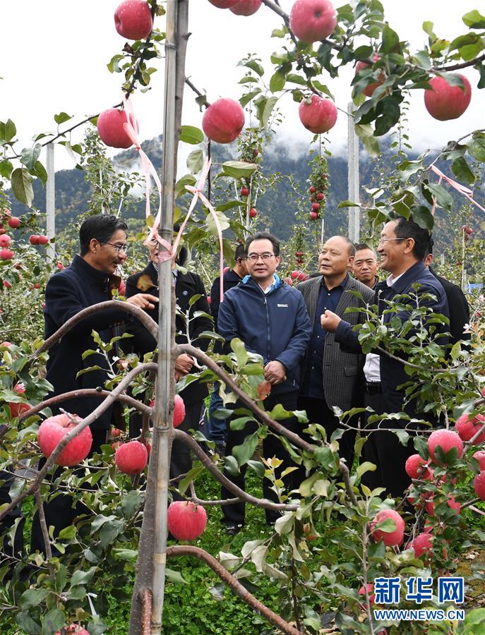 （新華全媒頭條&middot;圖文互動(dòng)）（8）愿做高原一粒種 化作金穗撒人間&mdash;&mdash;追記我國(guó)青稞研究專(zhuān)家尼瑪扎西