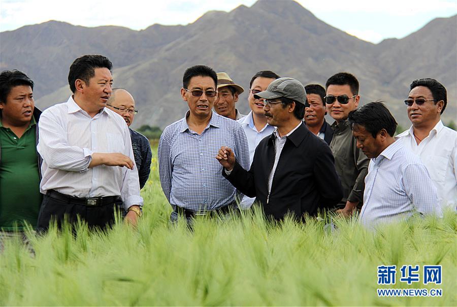 （新華全媒頭條&middot;圖文互動(dòng)）（2）愿做高原一粒種 化作金穗撒人間&mdash;&mdash;追記我國(guó)青稞研究專(zhuān)家尼瑪扎西
