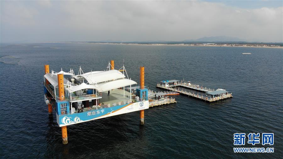 （新華全媒頭條&middot;圖文互動(dòng)）（7）&ldquo;拔&rdquo;海起牧場(chǎng) &ldquo;耕&rdquo;海新牧歌