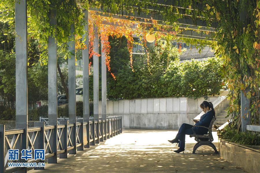 （全面建成小康社會&ldquo;百城千縣萬村調研行&rdquo;&middot;圖文互動）（2）武漢：從&ldquo;見縫插樓&rdquo;到&ldquo;見縫播綠&rdquo;