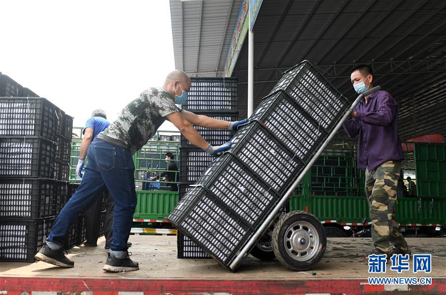 （新華全媒頭條&middot;圖文互動(dòng)）（10）暢通雙循環(huán) 共享大市場(chǎng)&mdash;&mdash;從東博會(huì)看中國(guó)新發(fā)展格局