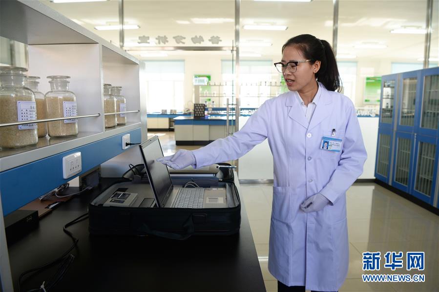 （新華全媒頭條&middot;圖文互動(dòng)）（6）奮力書寫東北振興的時(shí)代新篇&mdash;&mdash;習(xí)近平總書記調(diào)研東北三省并主持召開深入推進(jìn)東北振興座談會(huì)紀(jì)實(shí)