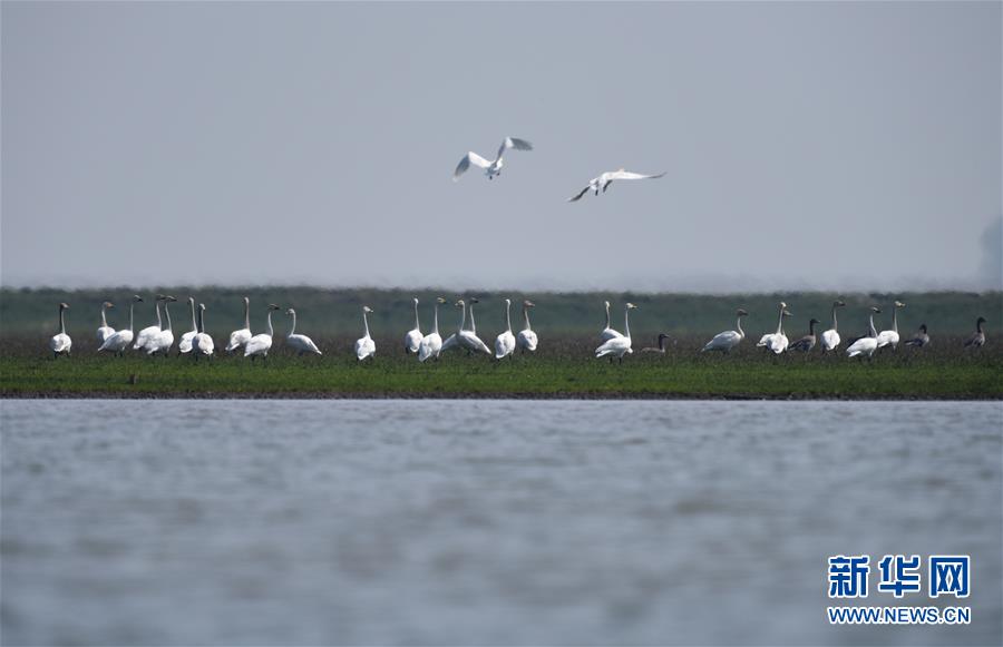 （新華全媒頭條&middot;圖文互動(dòng)）（11）潮起東方萬象新&mdash;&mdash;以習(xí)近平同志為核心的黨中央團(tuán)結(jié)帶領(lǐng)全黨全軍全國各族人民貫徹落實(shí)黨的十九大精神紀(jì)實(shí)