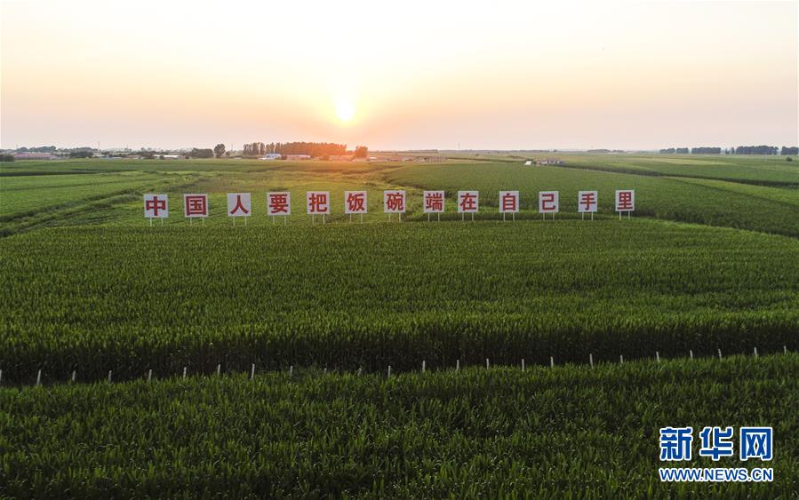 （在習(xí)近平新時(shí)代中國特色社會(huì)主義思想指引下&mdash;&mdash;新時(shí)代新作為新篇章&middot;習(xí)近平總書記關(guān)切事&middot;圖文互動(dòng)）（1）讓百姓吃得飽還要吃得好&mdash;&mdash;夯實(shí)糧食安全基礎(chǔ)端牢中國飯碗