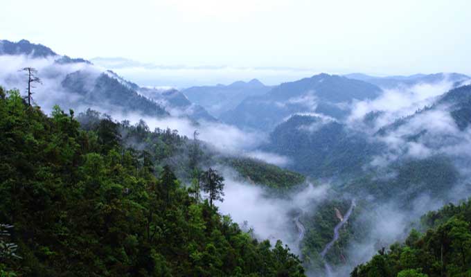 廣東乳源、廣東乳陽林場、云南華寧葫蘆口電站