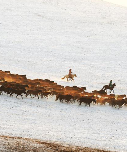中國(guó)馬都&mdash;錫林郭勒2017冰雪那達(dá)慕