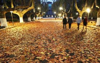 落葉飄飄鋪&ldquo;超級(jí)地毯&rdquo;