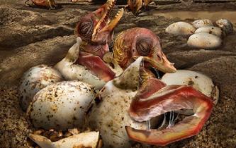 中國發(fā)現(xiàn)史前翼龍&ldquo;伊甸園&rdquo;