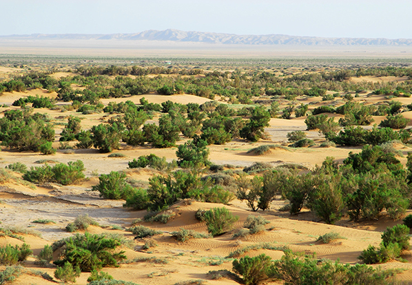 【長(zhǎng)篇通訊】塞罕壩，京城綠色屏障的前世今生