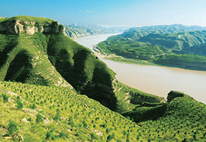 張建龍：&ldquo;三北工程&rdquo;實(shí)現(xiàn)生態(tài)、經(jīng)濟(jì)、社會(huì)效益&ldquo;多贏&rdquo;