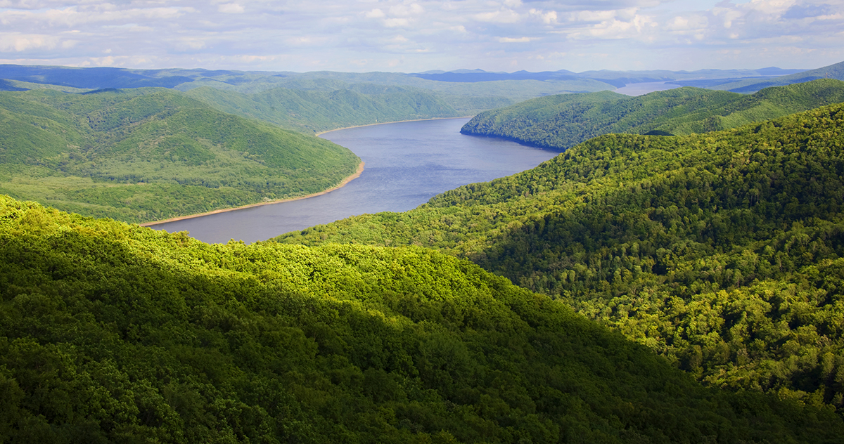 張建龍：&ldquo;三北工程&rdquo;實(shí)現(xiàn)生態(tài)、經(jīng)濟(jì)、社會(huì)效益&ldquo;多贏&rdquo;