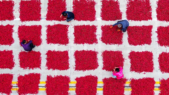 壯麗70年&middot;奮斗新時(shí)代丨瞰豐收