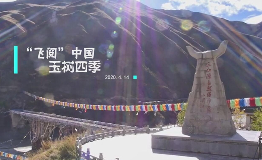 【&ldquo;飛閱&rdquo;中國(guó)】玉樹四季