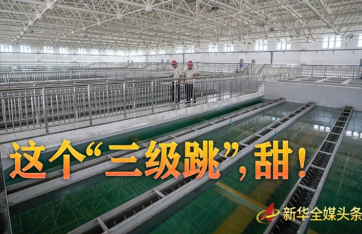 這個&ldquo;三級跳&rdquo;，甜！