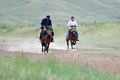 相馬&ldquo;伯樂(lè)&rdquo;李懷智的好日子