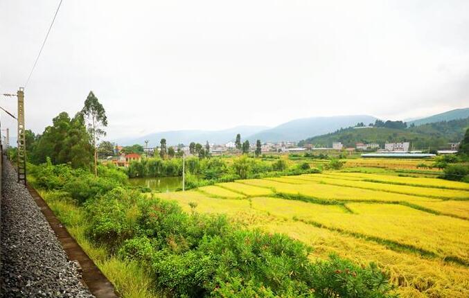 坐著高鐵看中國(guó)｜走成昆，感受闖過禁區(qū)的光影記錄