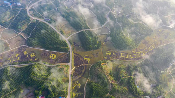 百城千縣萬村調(diào)研行｜在三峽橘鄉(xiāng)，遇見最美的田園時(shí)光！