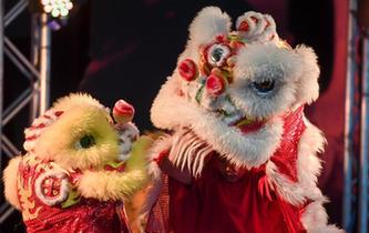 新西蘭國博舉辦&ldquo;中國舞臺(tái)日&rdquo;