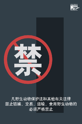 向非法野生動(dòng)物交易、濫食野生動(dòng)物陋習(xí)亮劍