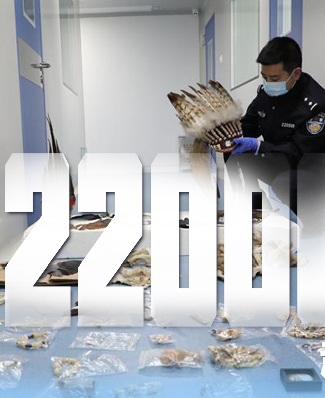 抗疫有&ldquo;法&rdquo;，就是這么給力！