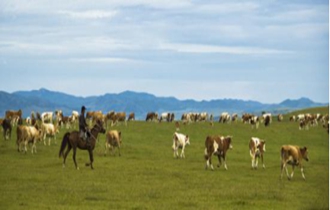 華能北方公司：奔小康，咱肯定能