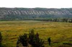 塞上榆林實現(xiàn)&ldquo;綠色轉(zhuǎn)身&rdquo;