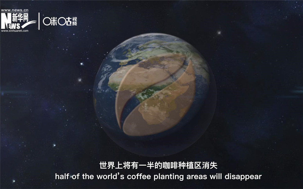 科學(xué)家預(yù)測到三十年后，世界上將有一半的咖啡種植區(qū)消失